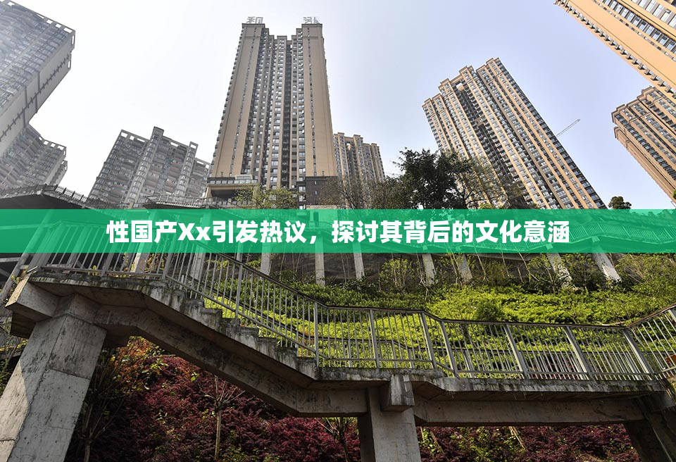 性国产Xx引发热议，探讨其背后的文化意涵