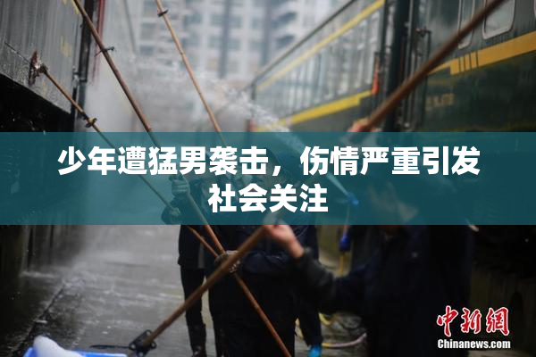 少年遭猛男袭击，伤情严重引发社会关注