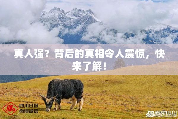 真人强？背后的真相令人震惊，快来了解！