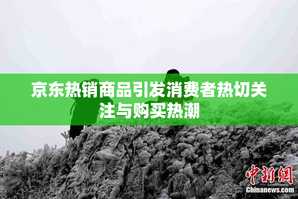 京东热销商品引发消费者热切关注与购买热潮