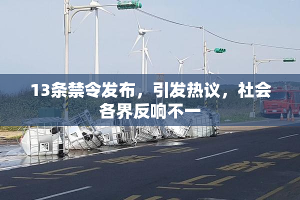 13条禁令发布，引发热议，社会各界反响不一