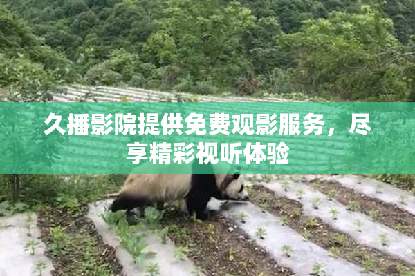 久播影院提供免费观影服务，尽享精彩视听体验