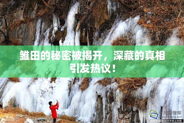 雏田的秘密被揭开，深藏的真相引发热议！