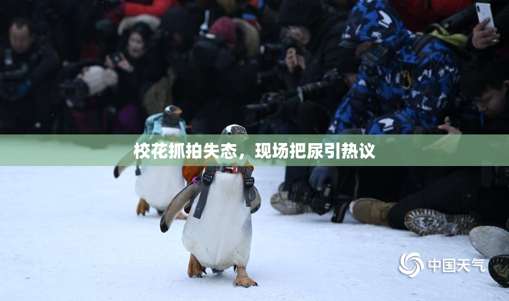 校花抓拍失态，现场把尿引热议