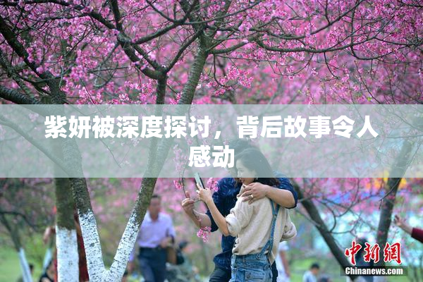 紫妍被深度探讨，背后故事令人感动