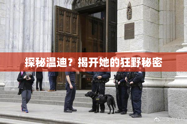探秘温迪？揭开她的狂野秘密