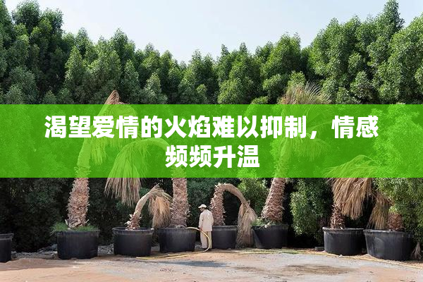 渴望爱情的火焰难以抑制，情感频频升温