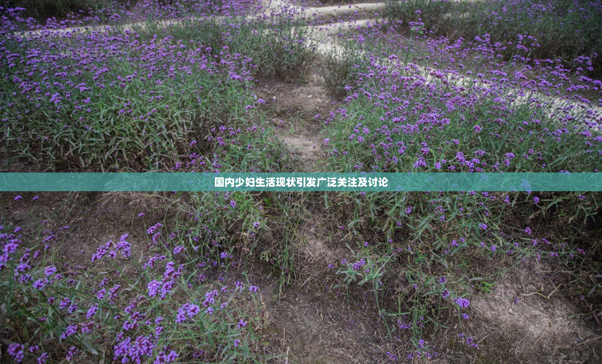 国内少妇生活现状引发广泛关注及讨论