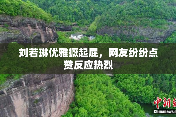 刘若琳优雅撅起屁，网友纷纷点赞反应热烈