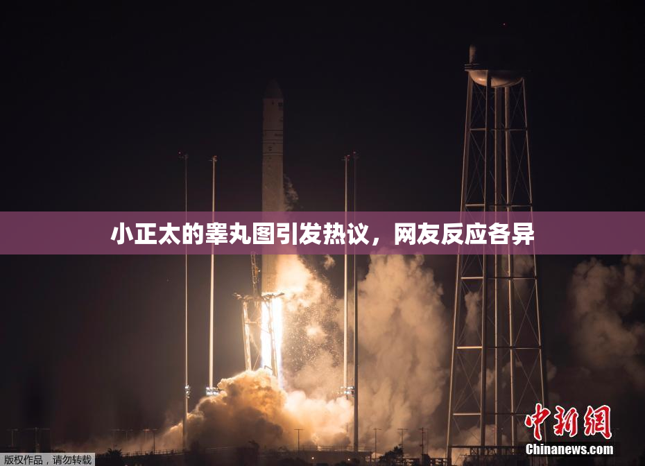 小正太的睾丸图引发热议，网友反应各异