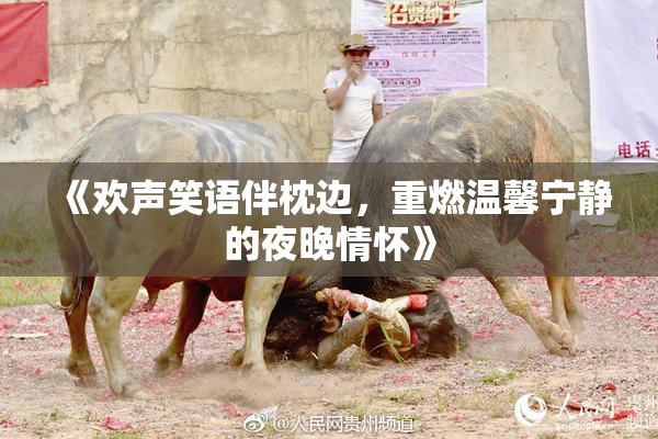 《欢声笑语伴枕边，重燃温馨宁静的夜晚情怀》