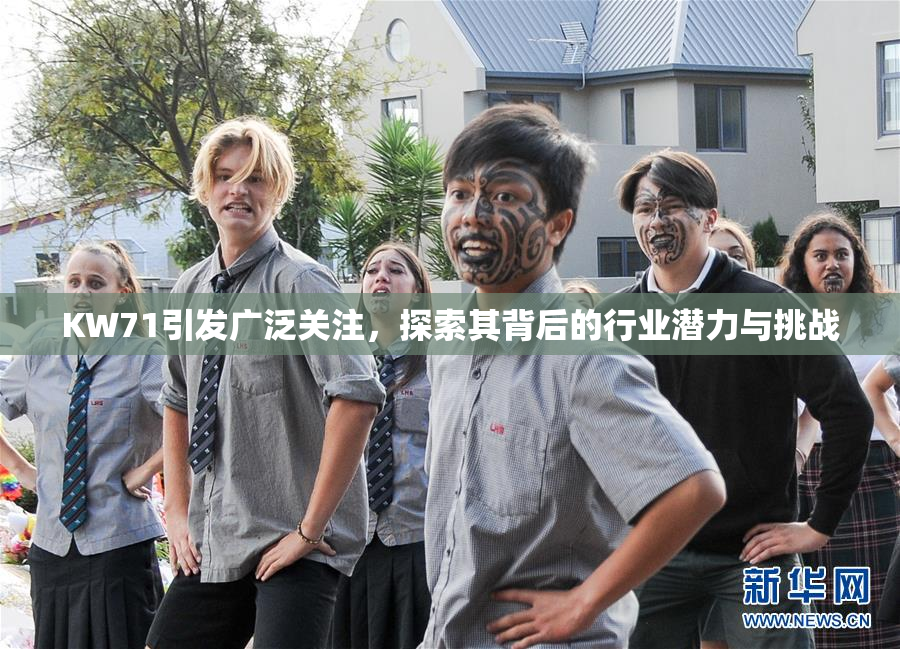 KW71引发广泛关注，探索其背后的行业潜力与挑战