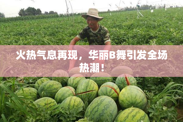 火热气息再现，华丽B舞引发全场热潮！