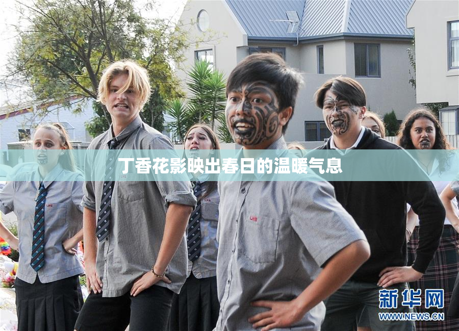 丁香花影映出春日的温暖气息