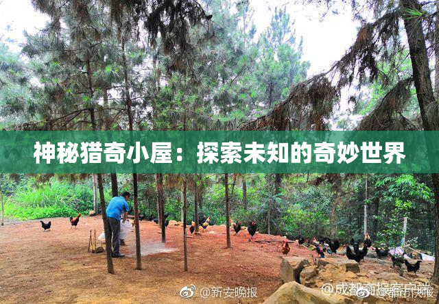 神秘猎奇小屋：探索未知的奇妙世界