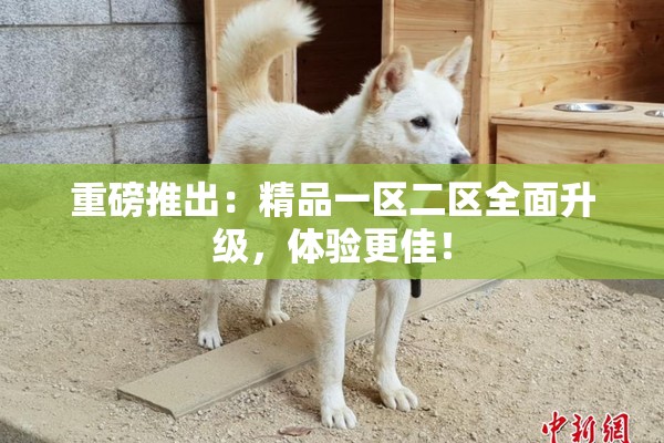 重磅推出：精品一区二区全面升级，体验更佳！