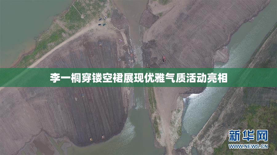 李一桐穿镂空裙展现优雅气质活动亮相