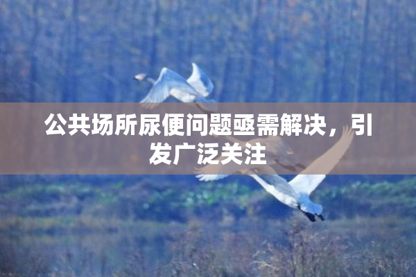 公共场所尿便问题亟需解决，引发广泛关注