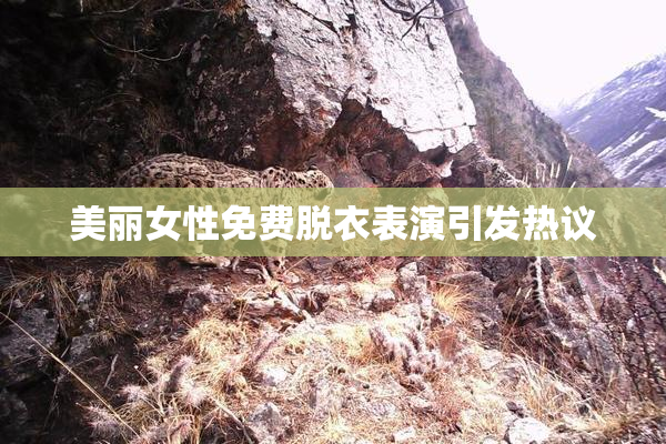 美丽女性免费脱衣表演引发热议