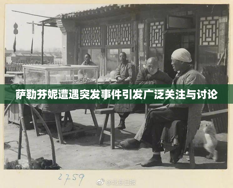萨勒芬妮遭遇突发事件引发广泛关注与讨论