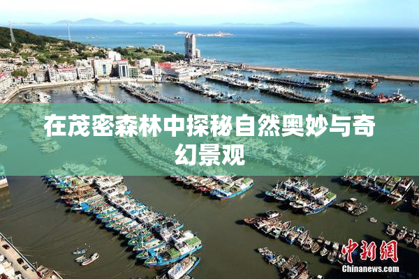 在茂密森林中探秘自然奥妙与奇幻景观