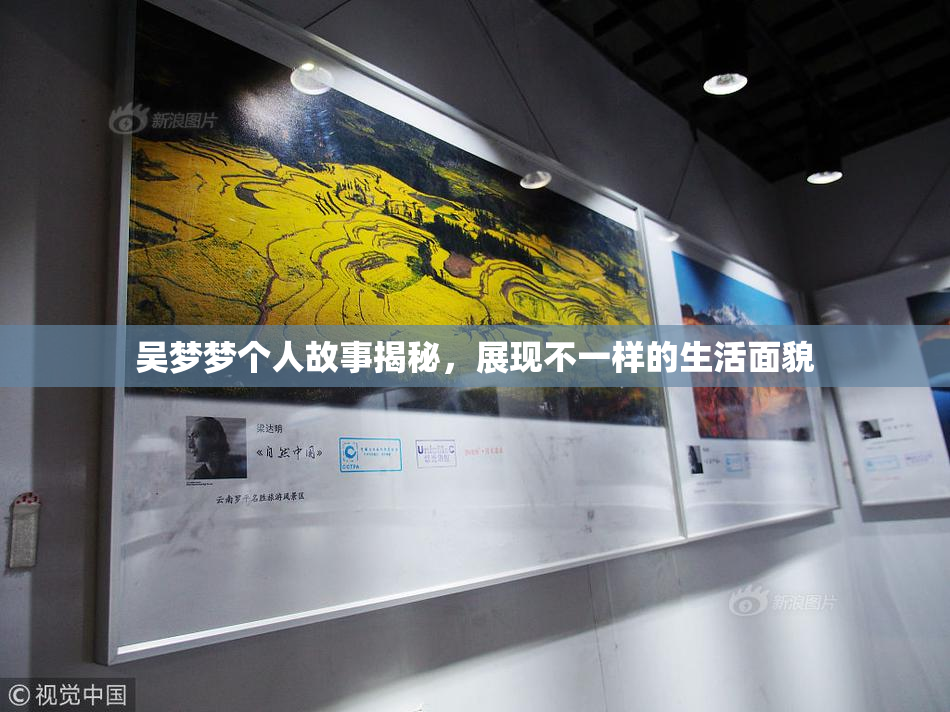 吴梦梦个人故事揭秘，展现不一样的生活面貌