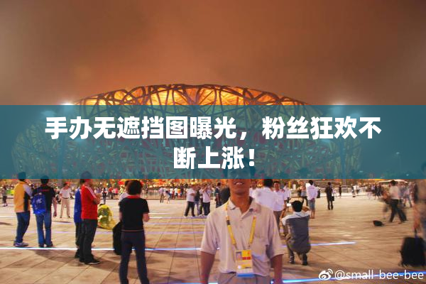 手办无遮挡图曝光，粉丝狂欢不断上涨！