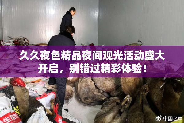 久久夜色精品夜间观光活动盛大开启，别错过精彩体验！