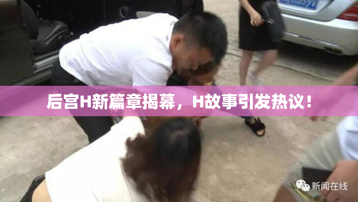 后宫H新篇章揭幕，H故事引发热议！