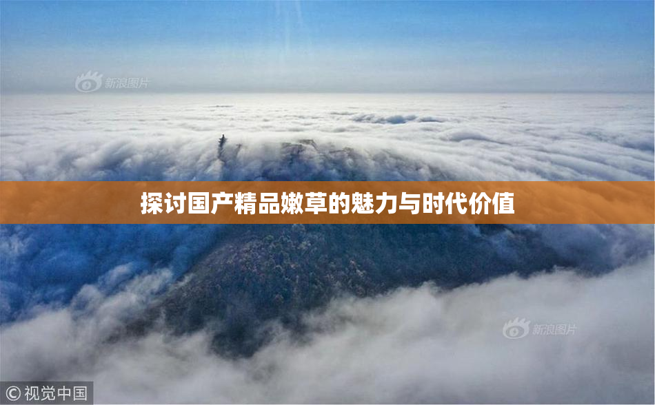 探讨国产精品嫩草的魅力与时代价值