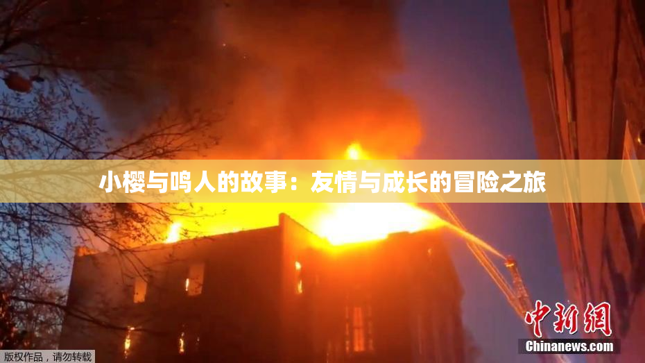 小樱与鸣人的故事：友情与成长的冒险之旅