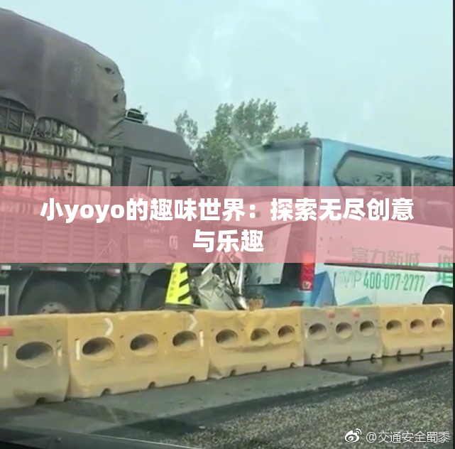 小yoyo的趣味世界：探索无尽创意与乐趣