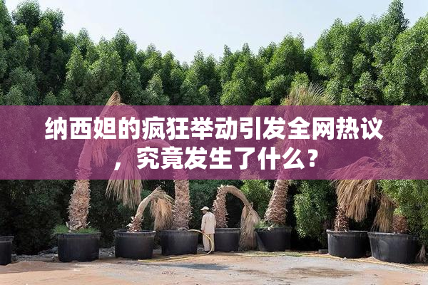 纳西妲的疯狂举动引发全网热议，究竟发生了什么？