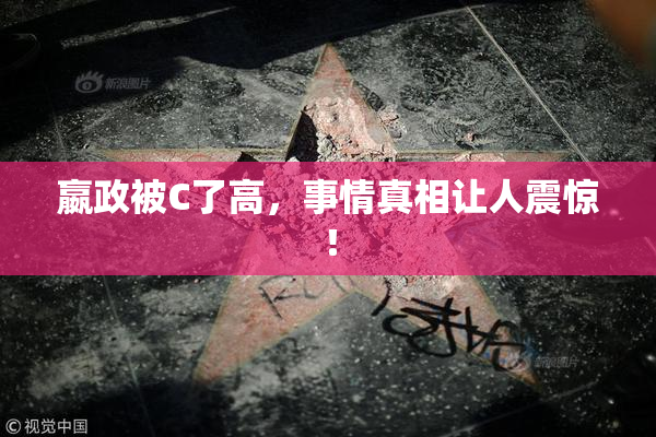 嬴政被C了高，事情真相让人震惊！