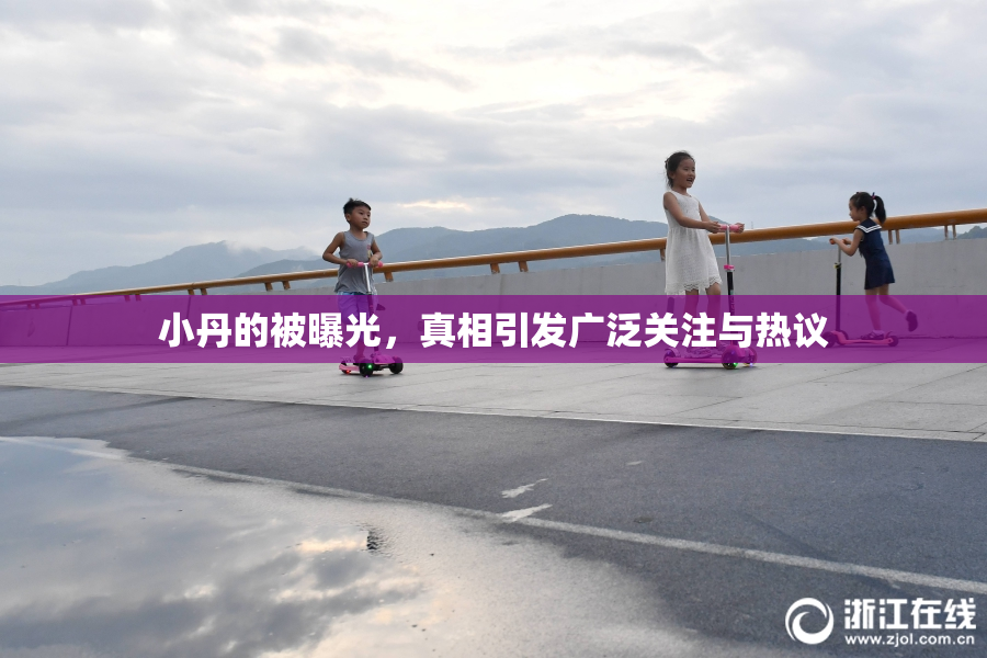 小丹的被曝光，真相引发广泛关注与热议