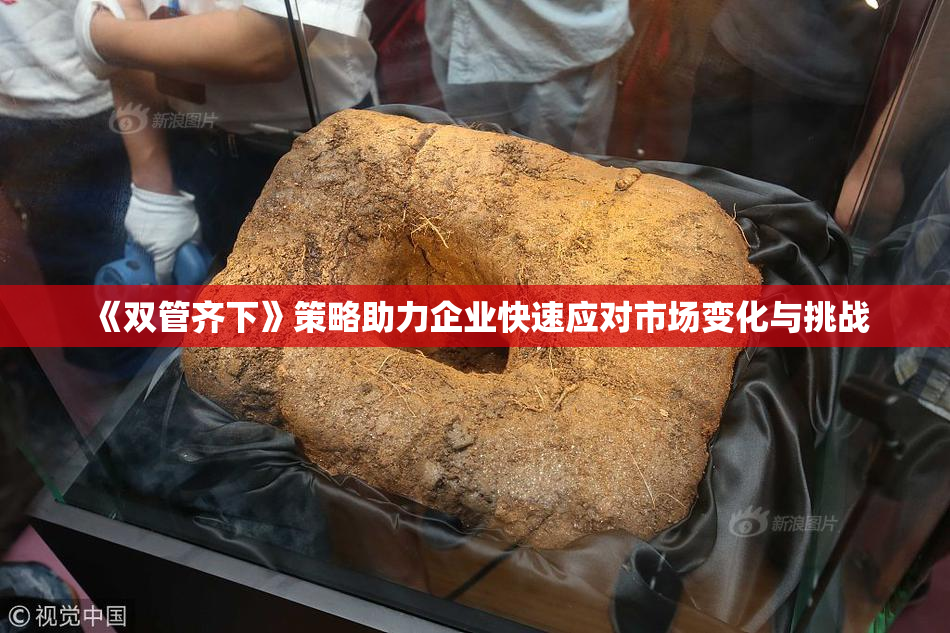 《双管齐下》策略助力企业快速应对市场变化与挑战