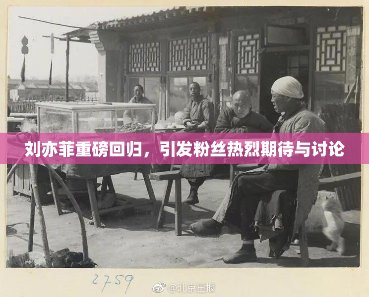 刘亦菲重磅回归，引发粉丝热烈期待与讨论