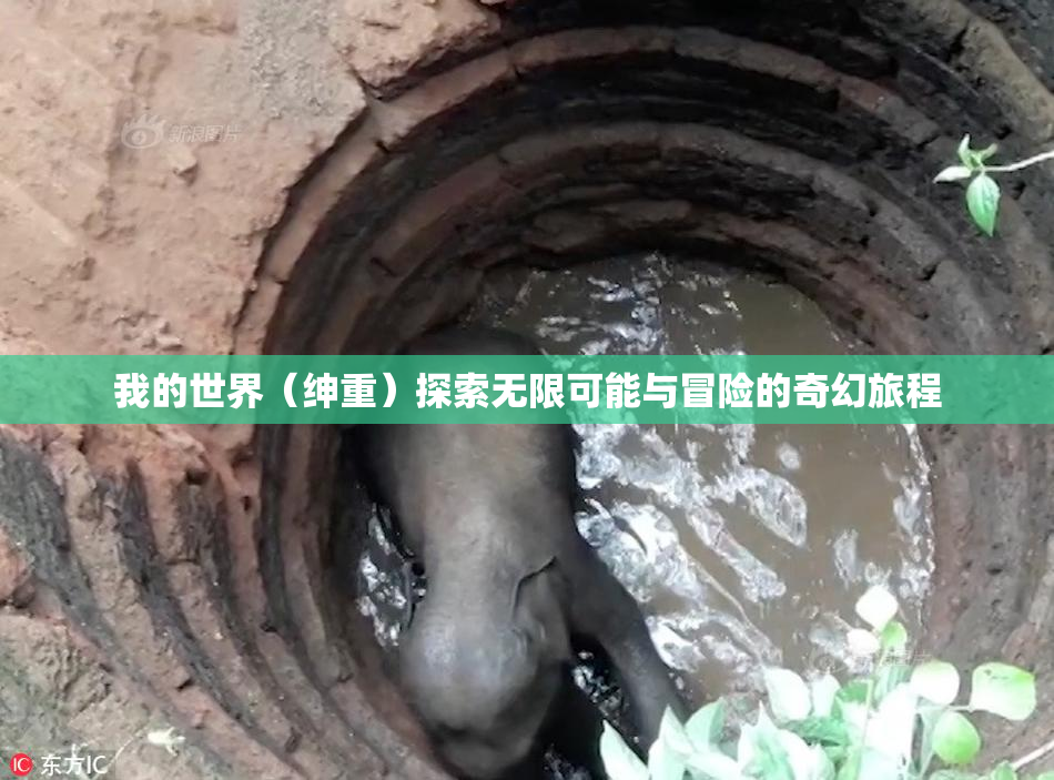 我的世界（绅重）探索无限可能与冒险的奇幻旅程