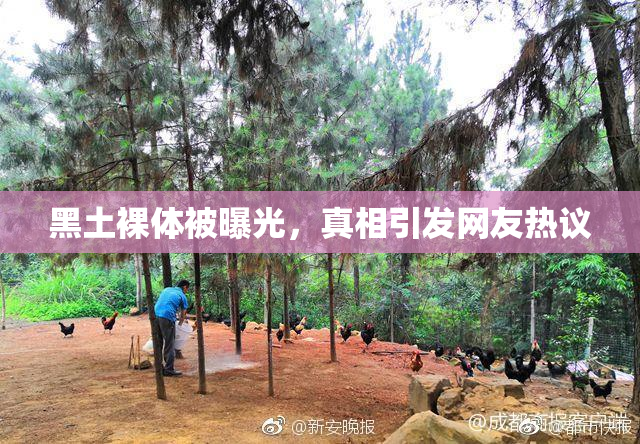 黑土裸体被曝光，真相引发网友热议