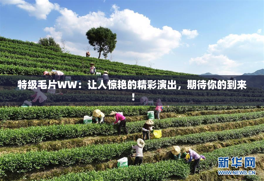 特级毛片WW：让人惊艳的精彩演出，期待你的到来！