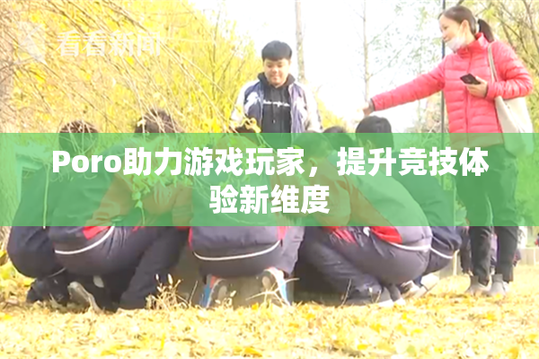 Poro助力游戏玩家，提升竞技体验新维度