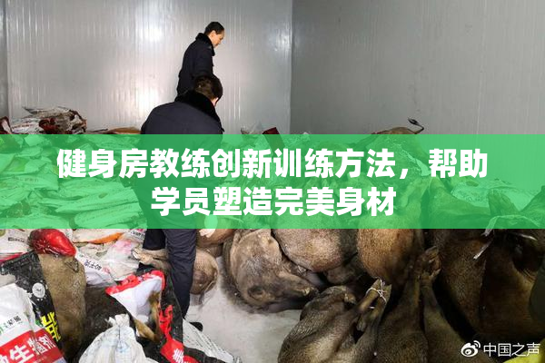 健身房教练创新训练方法，帮助学员塑造完美身材