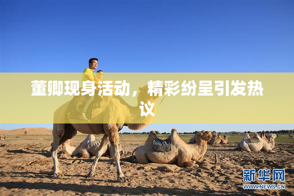 董卿现身活动，精彩纷呈引发热议