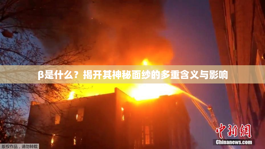 β是什么？揭开其神秘面纱的多重含义与影响