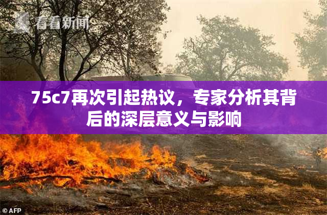 75c7再次引起热议，专家分析其背后的深层意义与影响