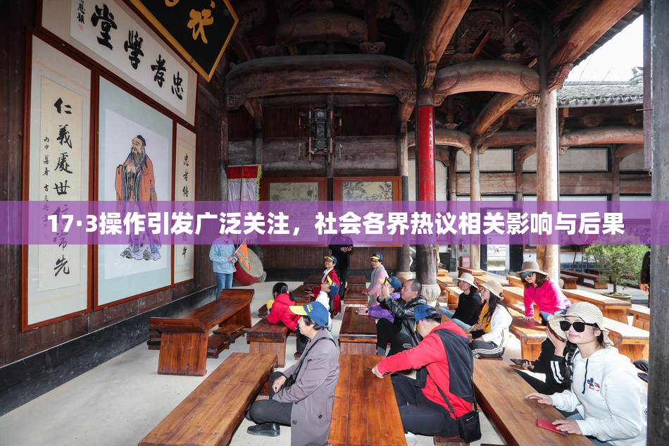 17·3操作引发广泛关注，社会各界热议相关影响与后果