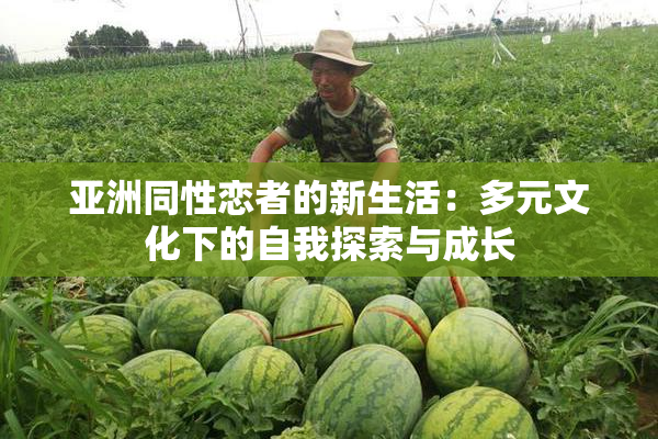亚洲同性恋者的新生活：多元文化下的自我探索与成长