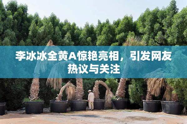 李冰冰全黄A惊艳亮相，引发网友热议与关注