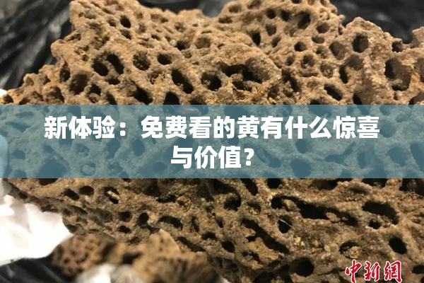 新体验：免费看的黄有什么惊喜与价值？