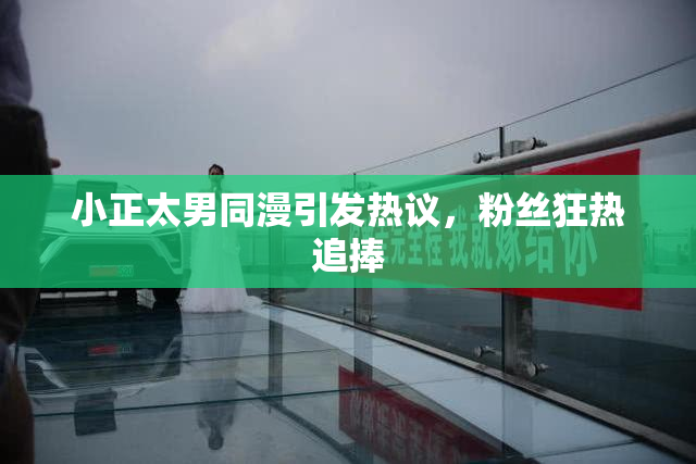 小正太男同漫引发热议，粉丝狂热追捧